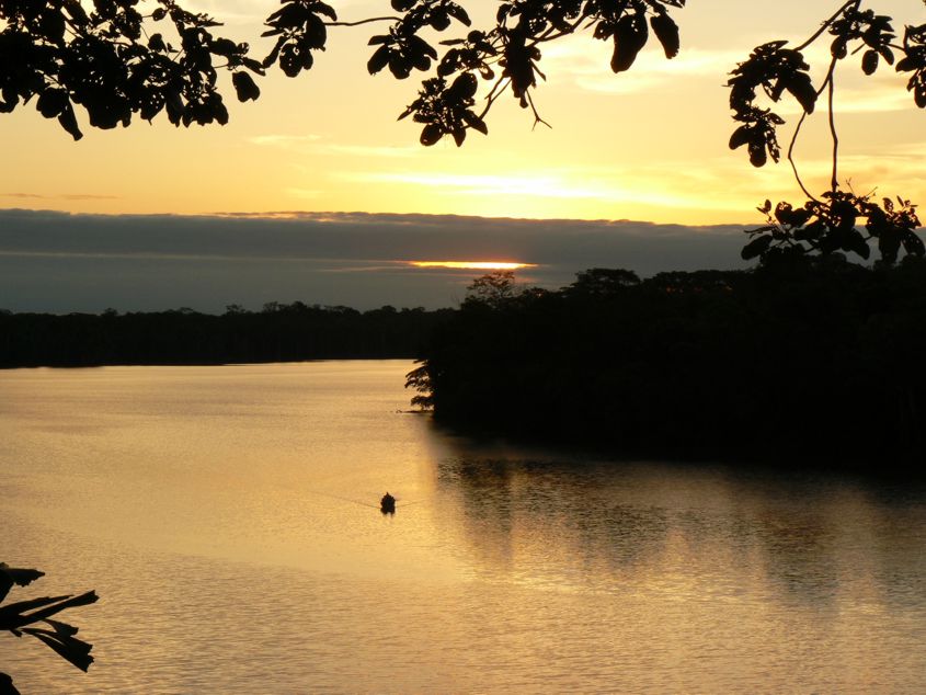 Jungle sunset over the river